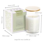 French Pear 50 hour candle measurements